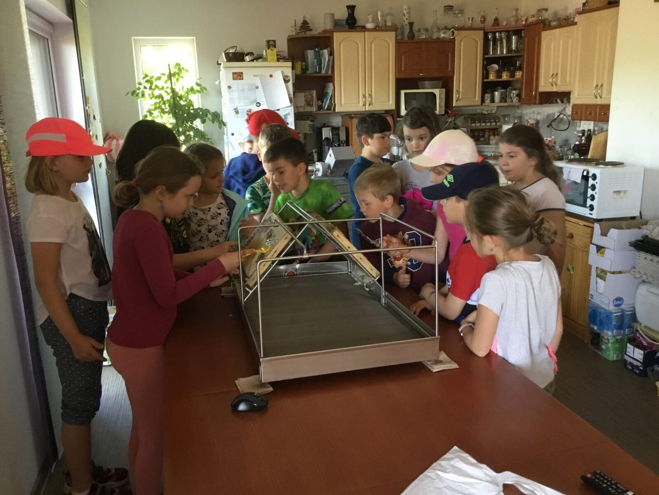 Dětský den a projektový "Den se včelami" ve třetí třídě - 40