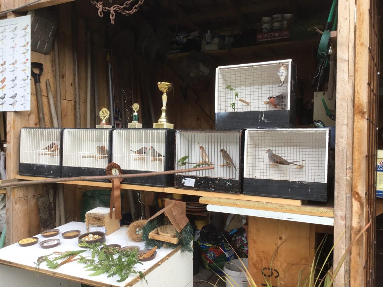 Netradiční tělocvik v 1. třídě - 2