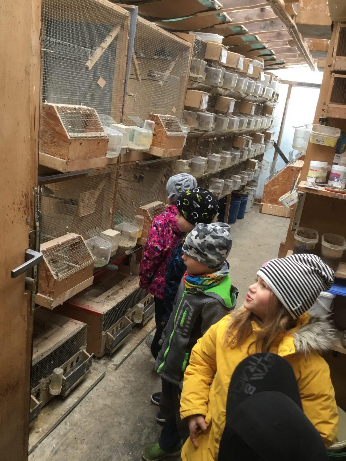 Netradiční tělocvik v 1. třídě - 16