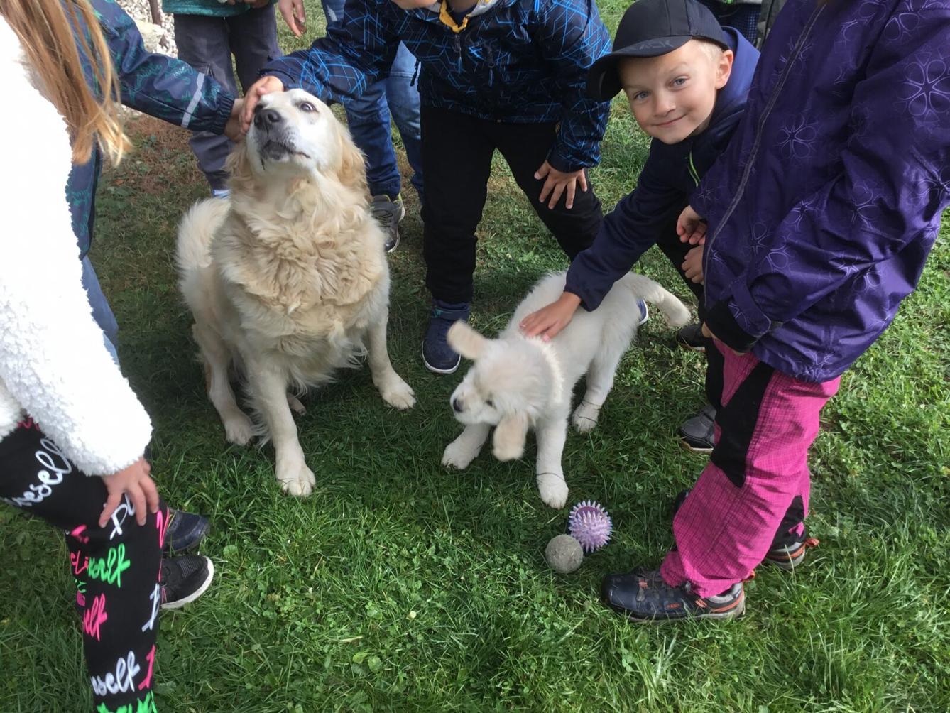 Netradiční tělocvik v 1. třídě - 24