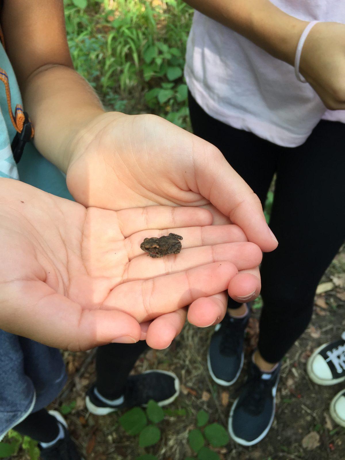 Sedmáci na naučné stezce - 7