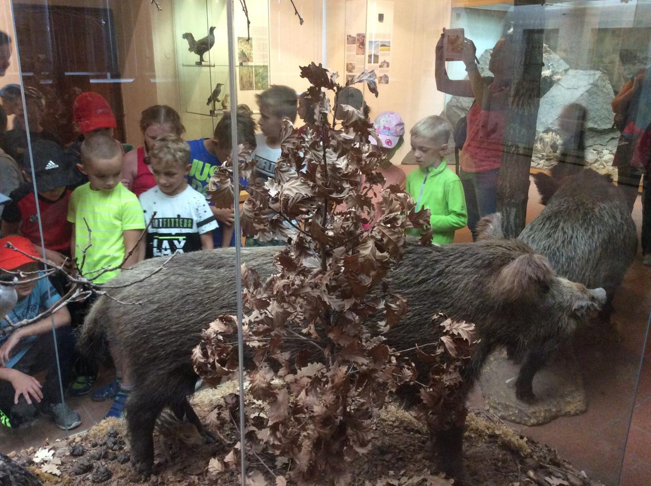 Školní výlet Pardubice - 4