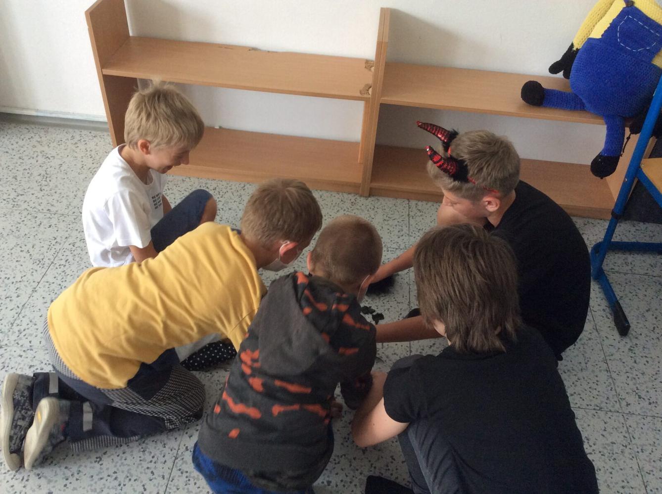 Pohádkový les - 22