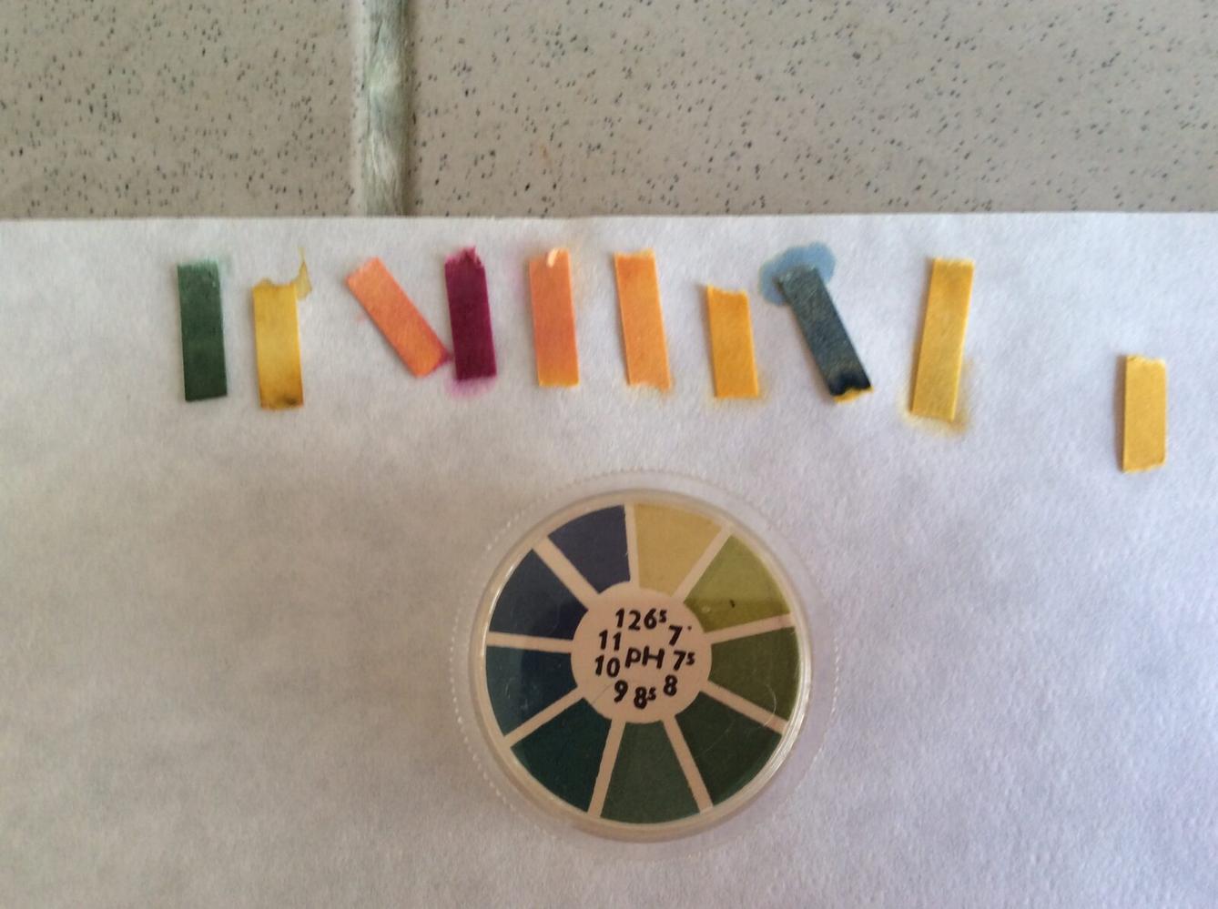 Projektový den na Gymnáziu Ústí nad Orlicí - 20