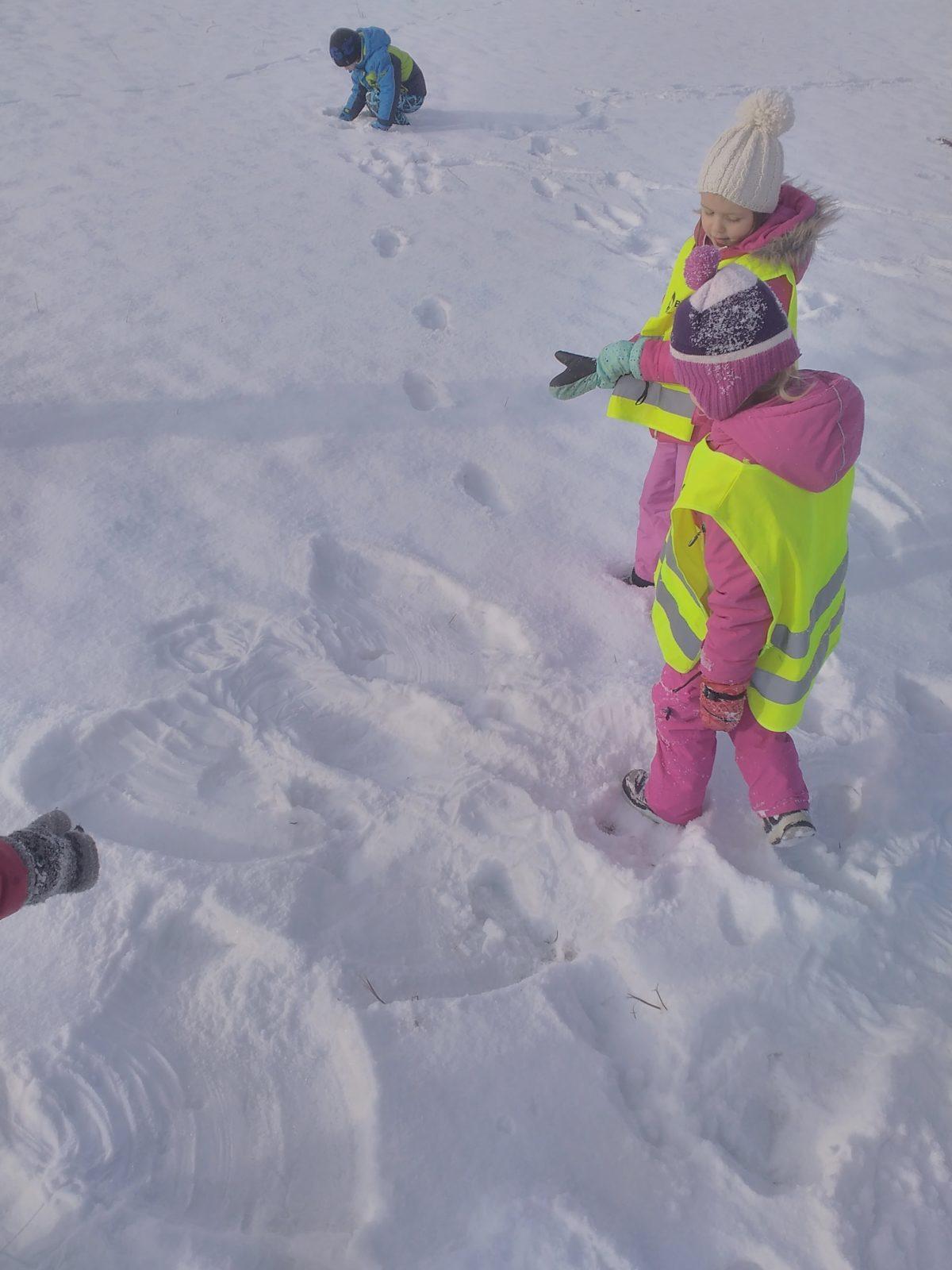 Vzpomínky na snížek - 1