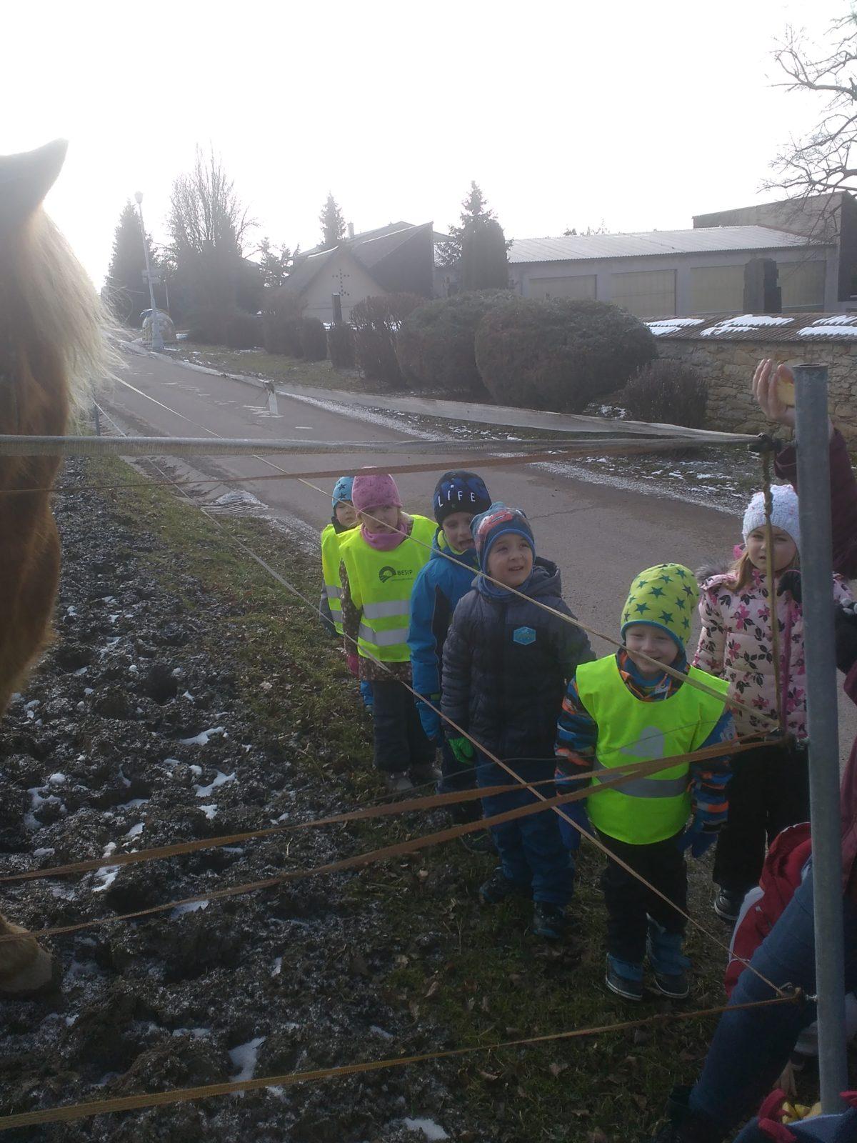 Vycházka ke koníčkovi aneb "máme rádi zvířata" - 9