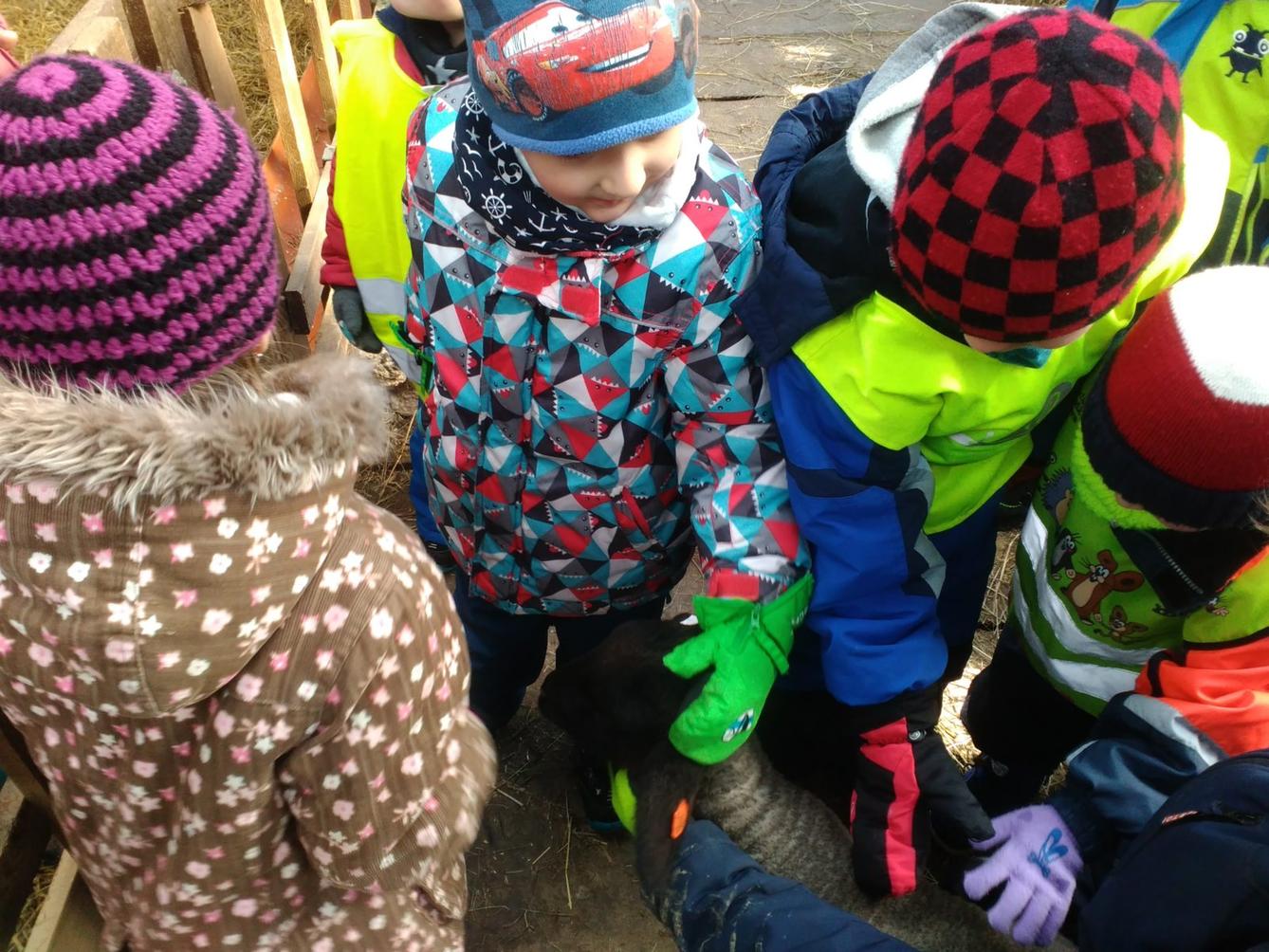 Vycházka za ovečkami a jejich jehňátky - 3