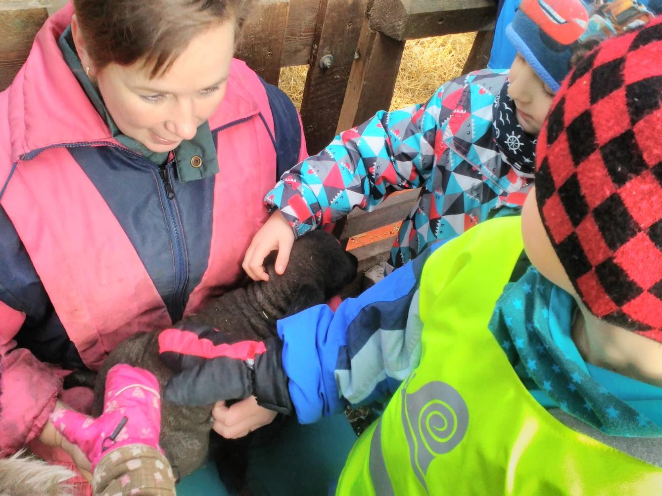 Vycházka za ovečkami a jejich jehňátky - 7