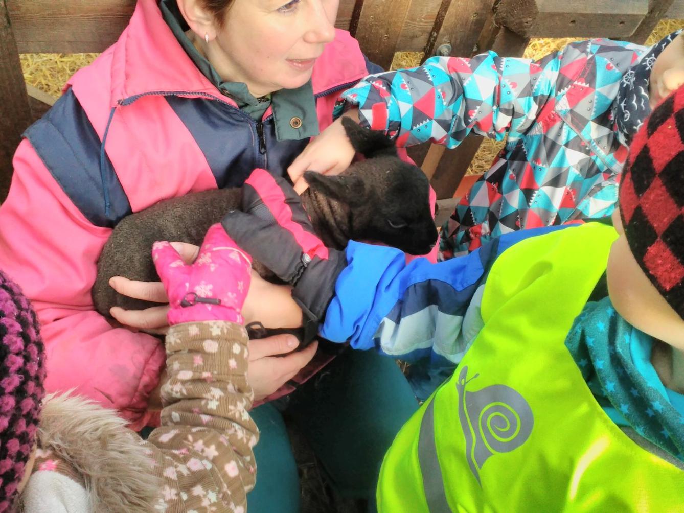 Vycházka za ovečkami a jejich jehňátky - 8