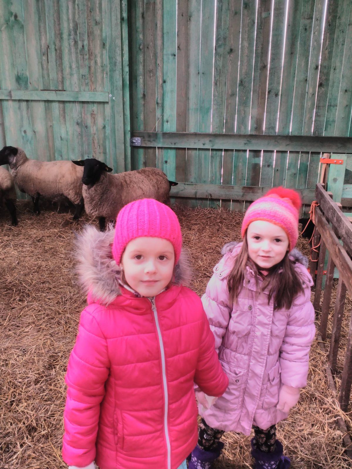 Vycházka za ovečkami a jejich jehňátky - 15