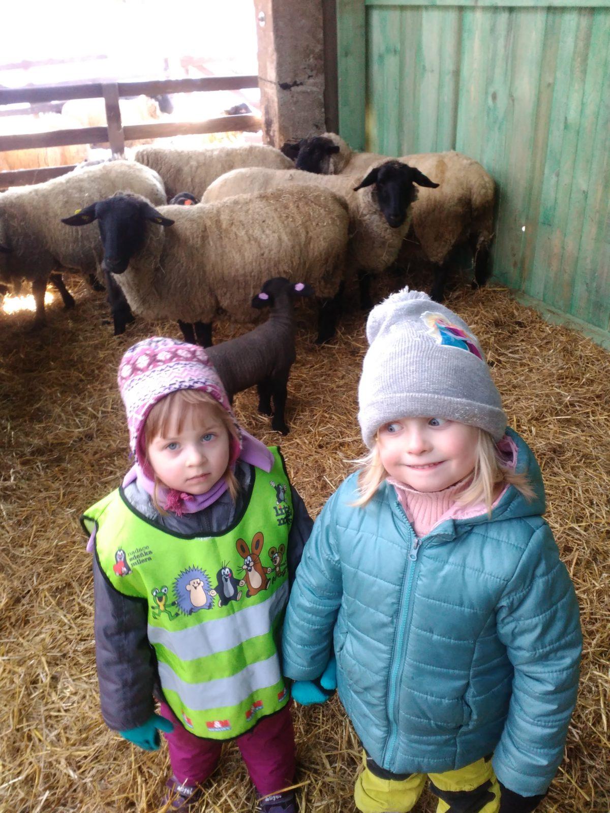 Vycházka za ovečkami a jejich jehňátky - 19