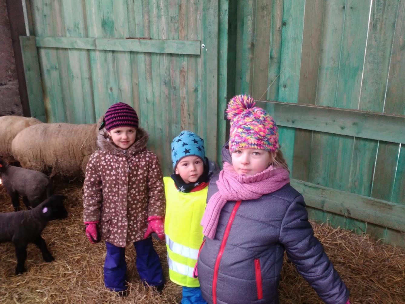 Vycházka za ovečkami a jejich jehňátky - 20