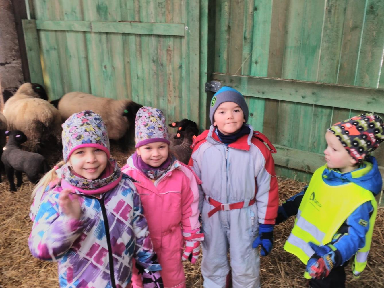 Vycházka za ovečkami a jejich jehňátky - 23