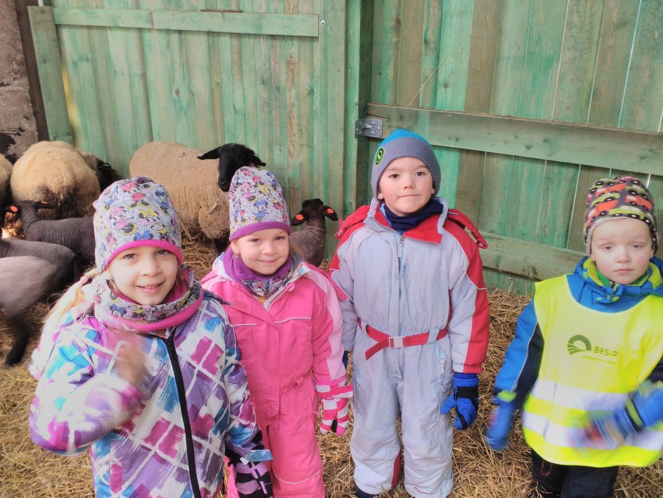 Vycházka za ovečkami a jejich jehňátky - 24