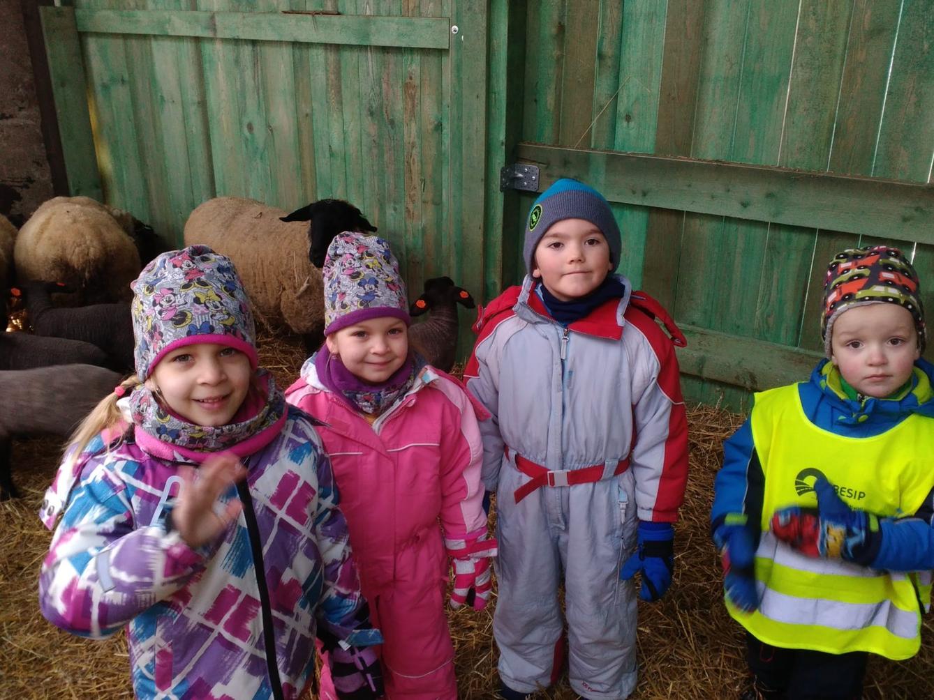 Vycházka za ovečkami a jejich jehňátky - 25