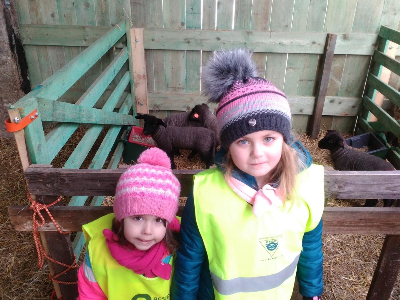 Vycházka za ovečkami a jejich jehňátky - 26