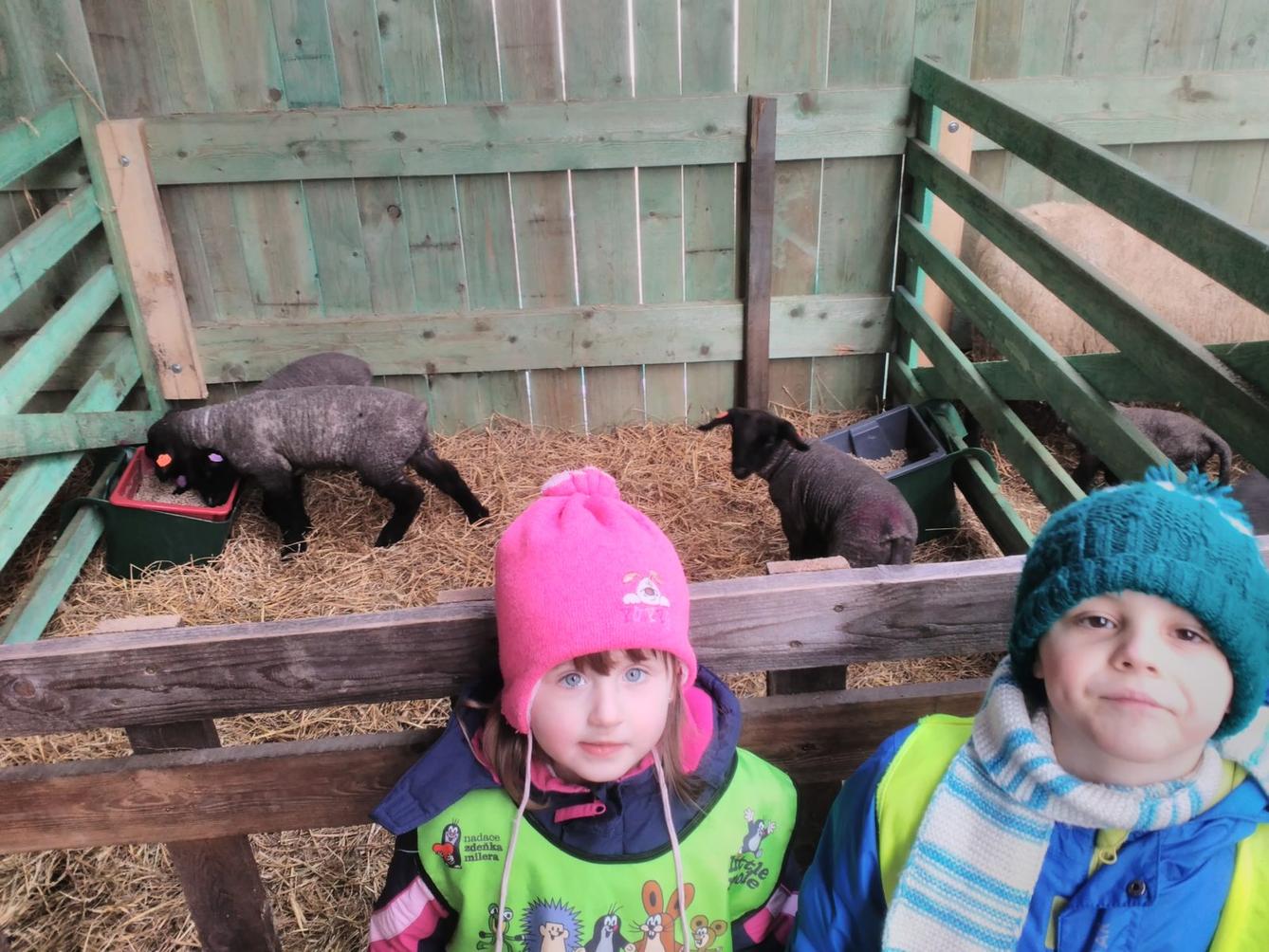 Vycházka za ovečkami a jejich jehňátky - 27