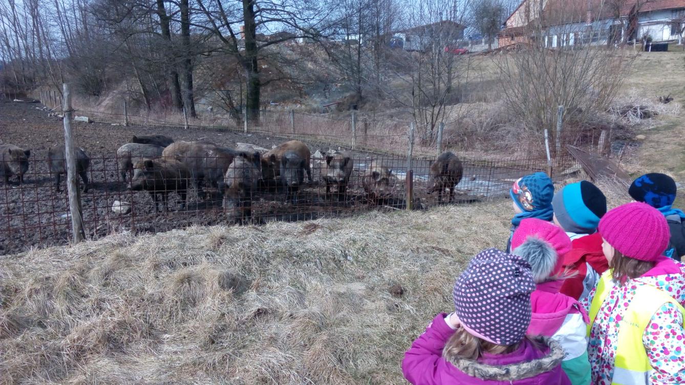 Vycházka za divokými prasaty (st. děti) - 1
