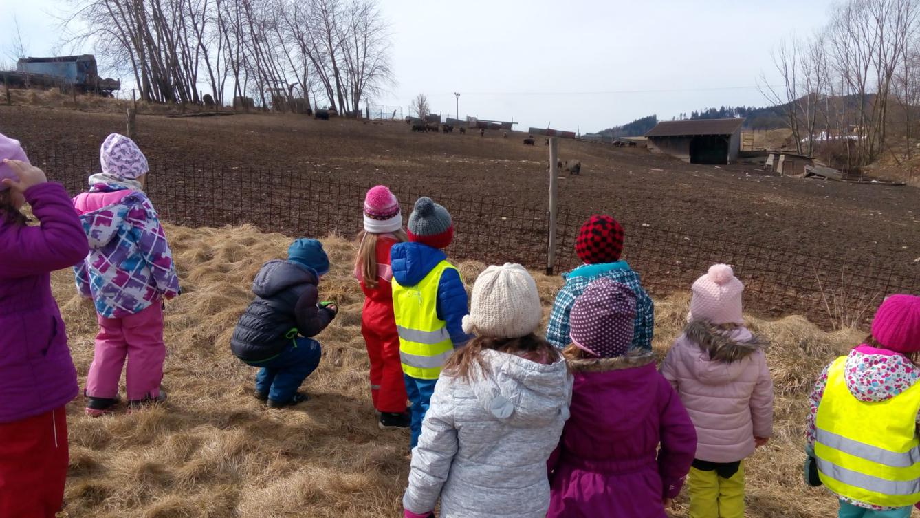 Vycházka za divokými prasaty (st. děti) - 3