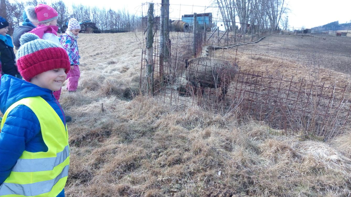 Vycházka za divokými prasaty (st. děti) - 4