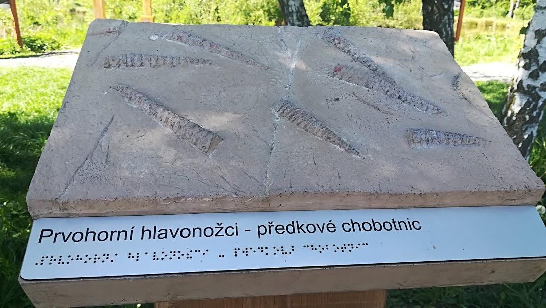 Škola v přírodě - DEN 1. - 9