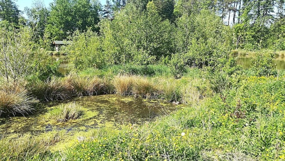 Škola v přírodě - DEN 1. - 11