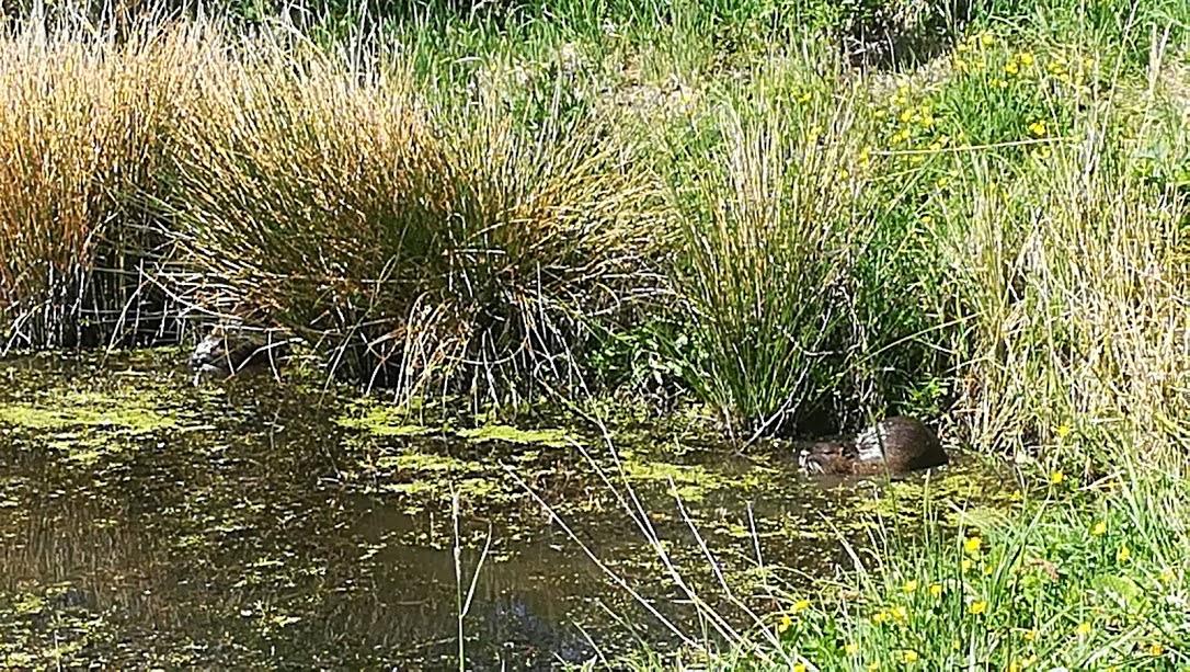 Škola v přírodě - DEN 1. - 12