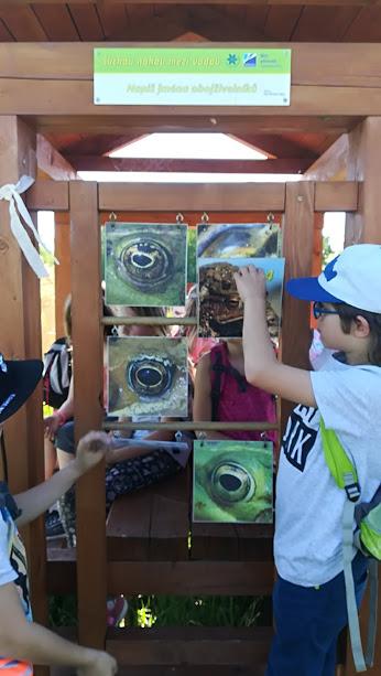 Škola v přírodě - DEN 1. - 21