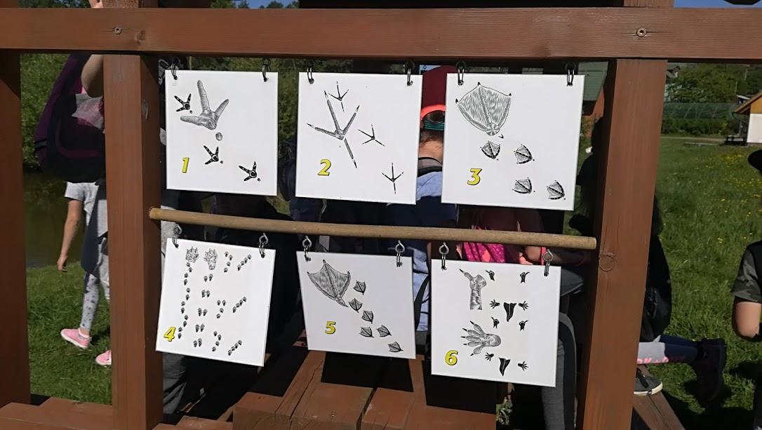 Škola v přírodě - DEN 1. - 22