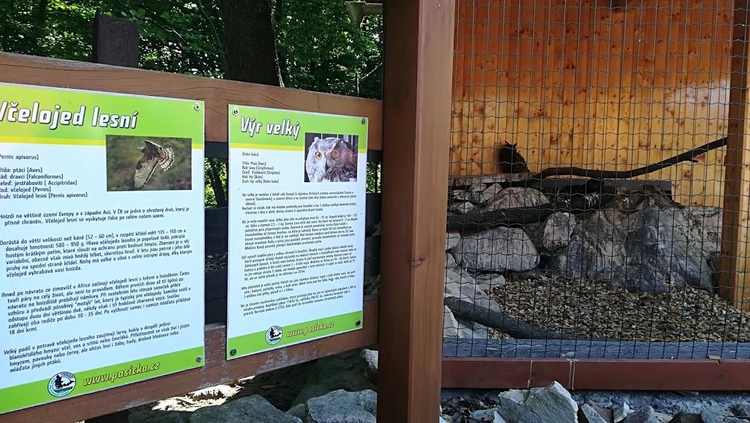 ŠKOLA V PŘÍRODĚ - DEN 2. - 3