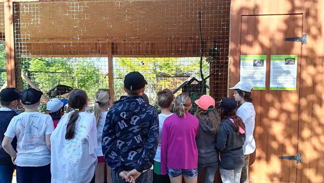 ŠKOLA V PŘÍRODĚ - DEN 2. - 4