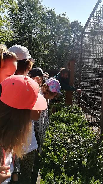 ŠKOLA V PŘÍRODĚ - DEN 2. - 6