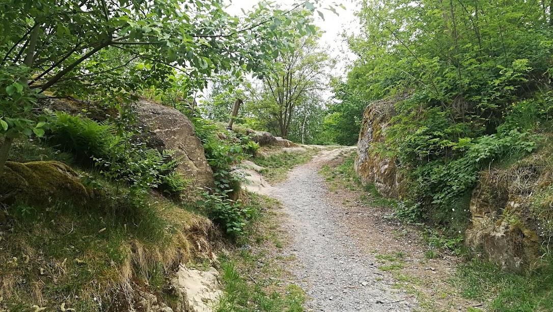 ŠKOLA V PŘÍRODĚ - DEN 2. - 24