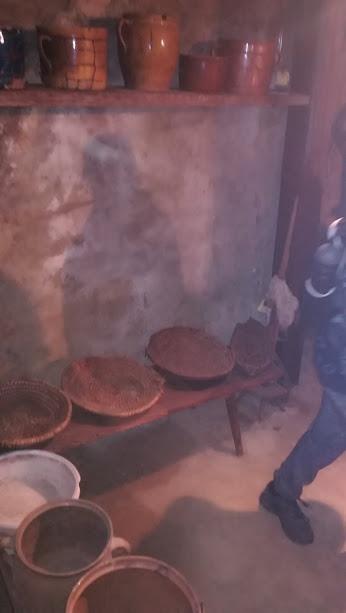 ŠKOLA V PŘÍRODĚ - DEN 2. - 30