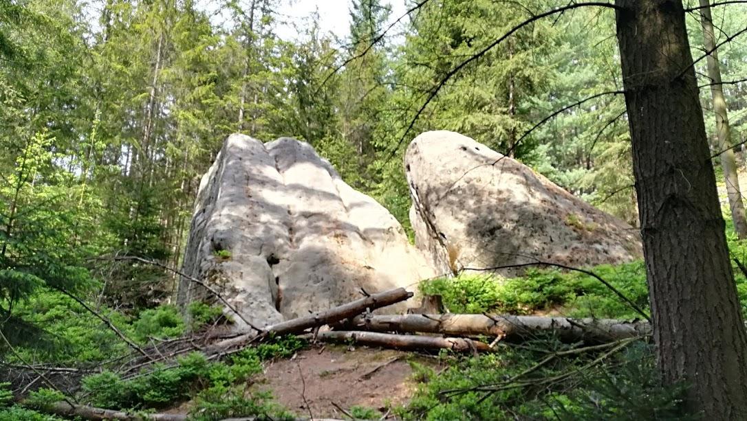 ŠKOLA V PŘÍRODĚ - DEN 3. - 22