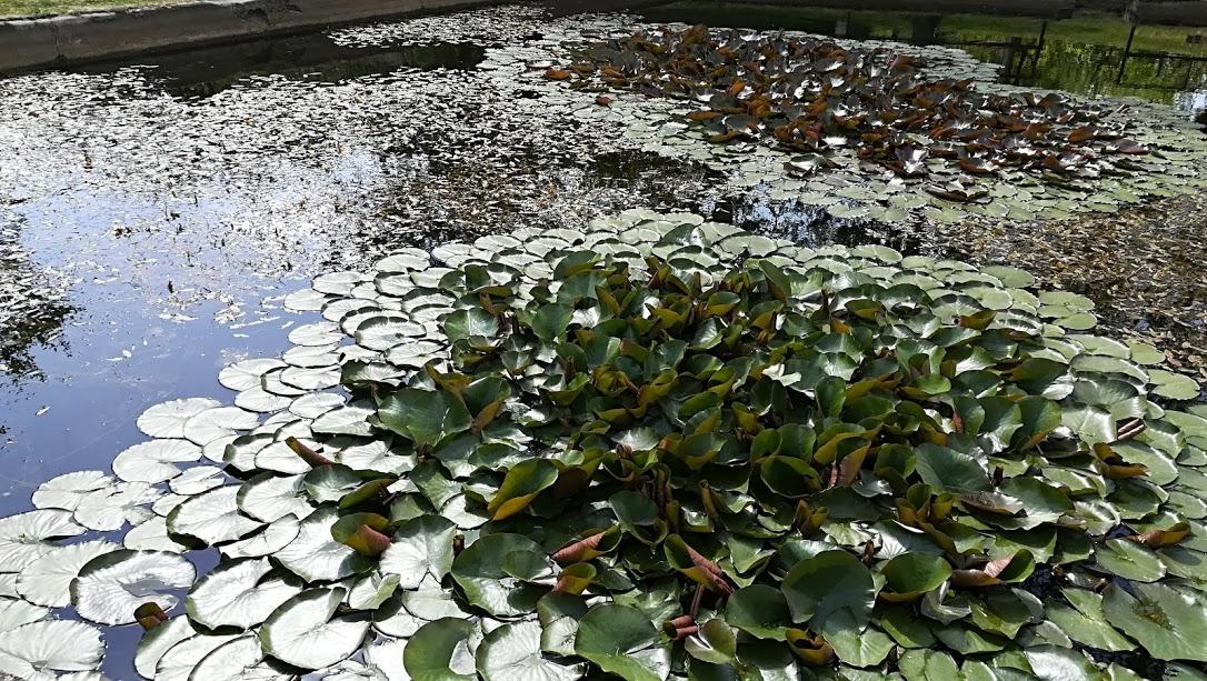 ŠKOLA V PŘÍRODĚ - DEN 4. - 29