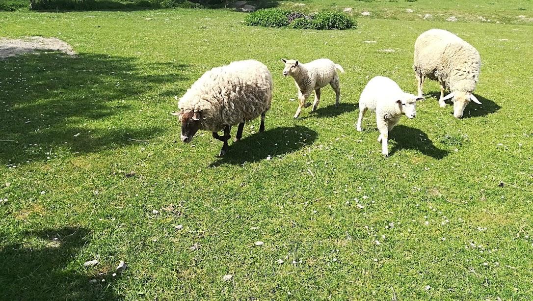 ŠKOLA V PŘÍRODĚ - DEN 4. - 32