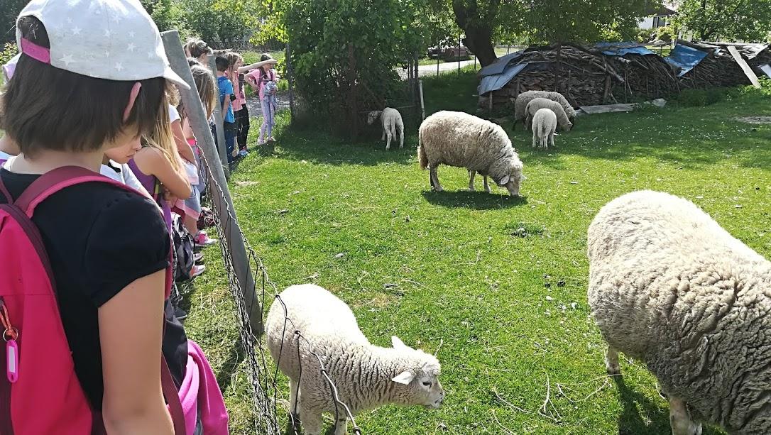 ŠKOLA V PŘÍRODĚ - DEN 4. - 33