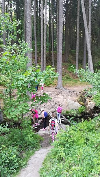 ŠKOLA V PŘÍRODĚ - DEN 4. - 48