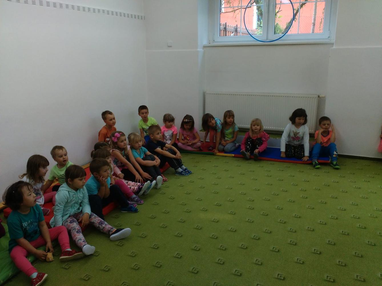 Papoušci ve školce - 2