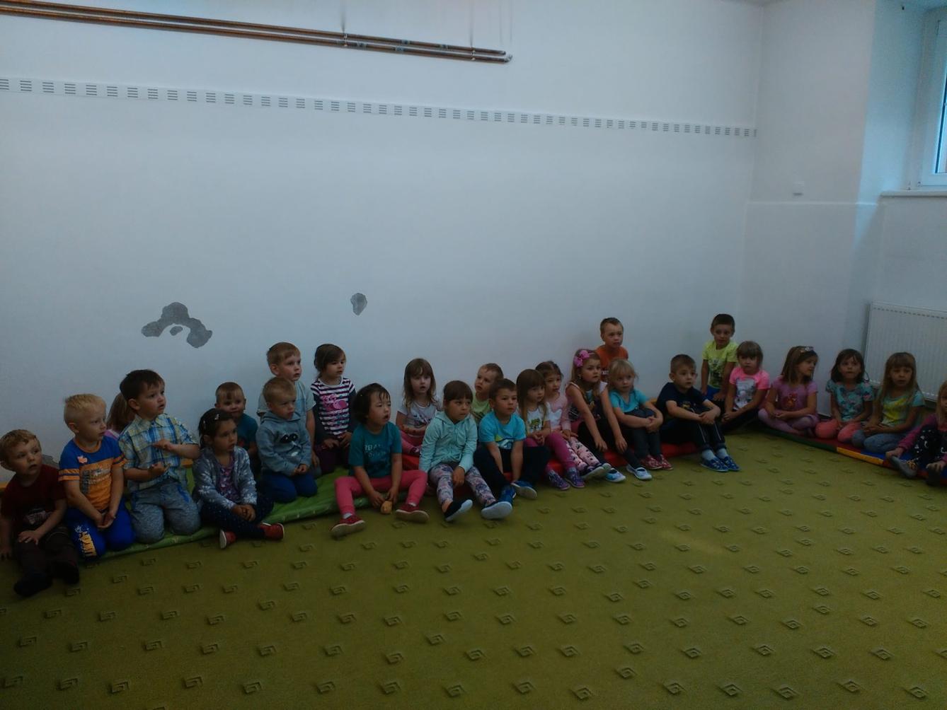 Papoušci ve školce - 3