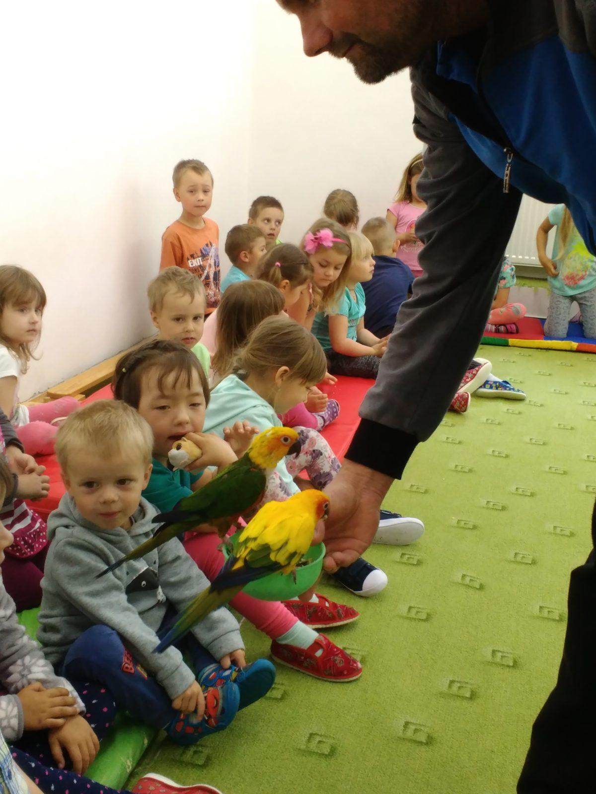 Papoušci ve školce - 10