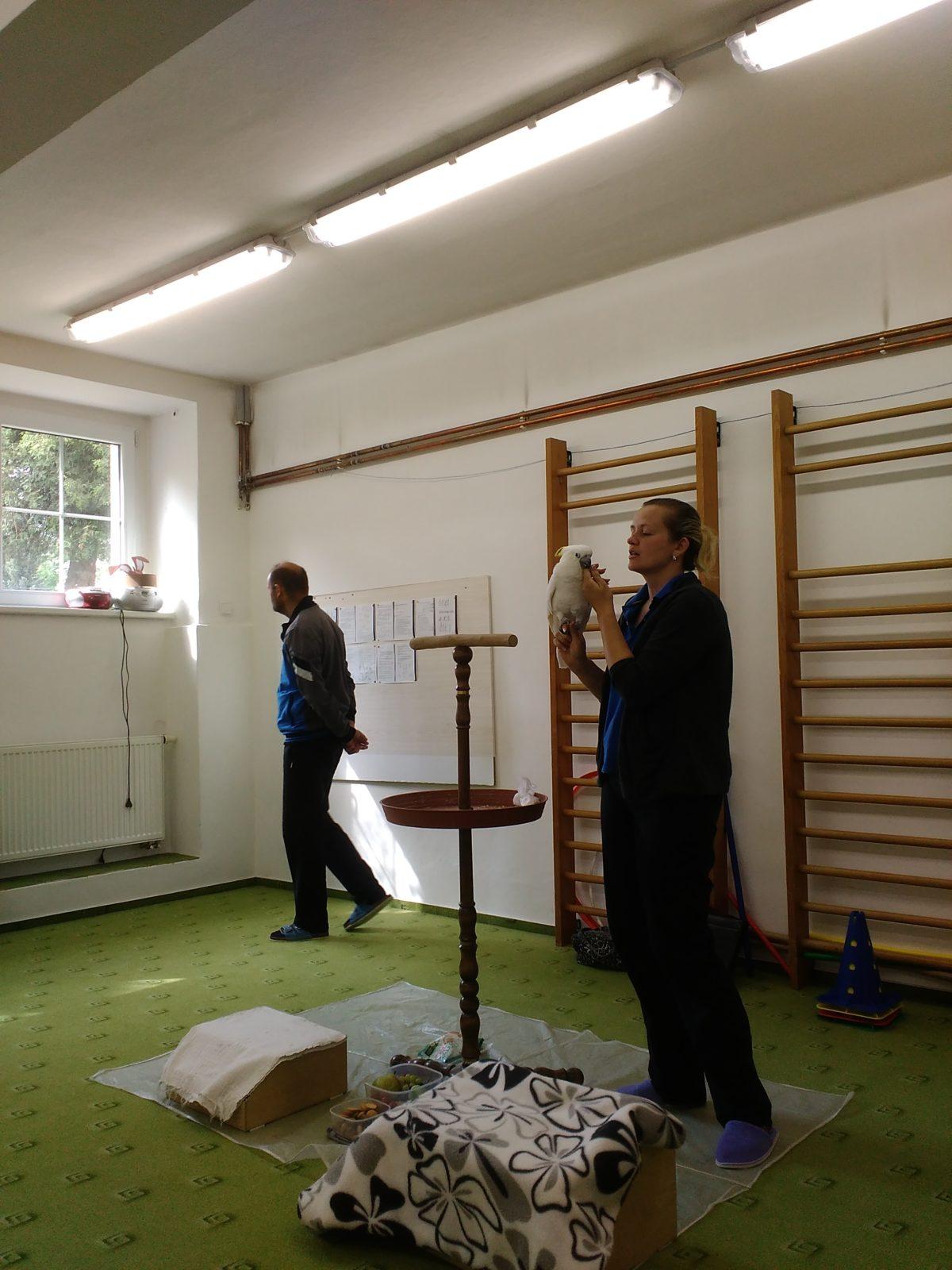 Papoušci ve školce - 12