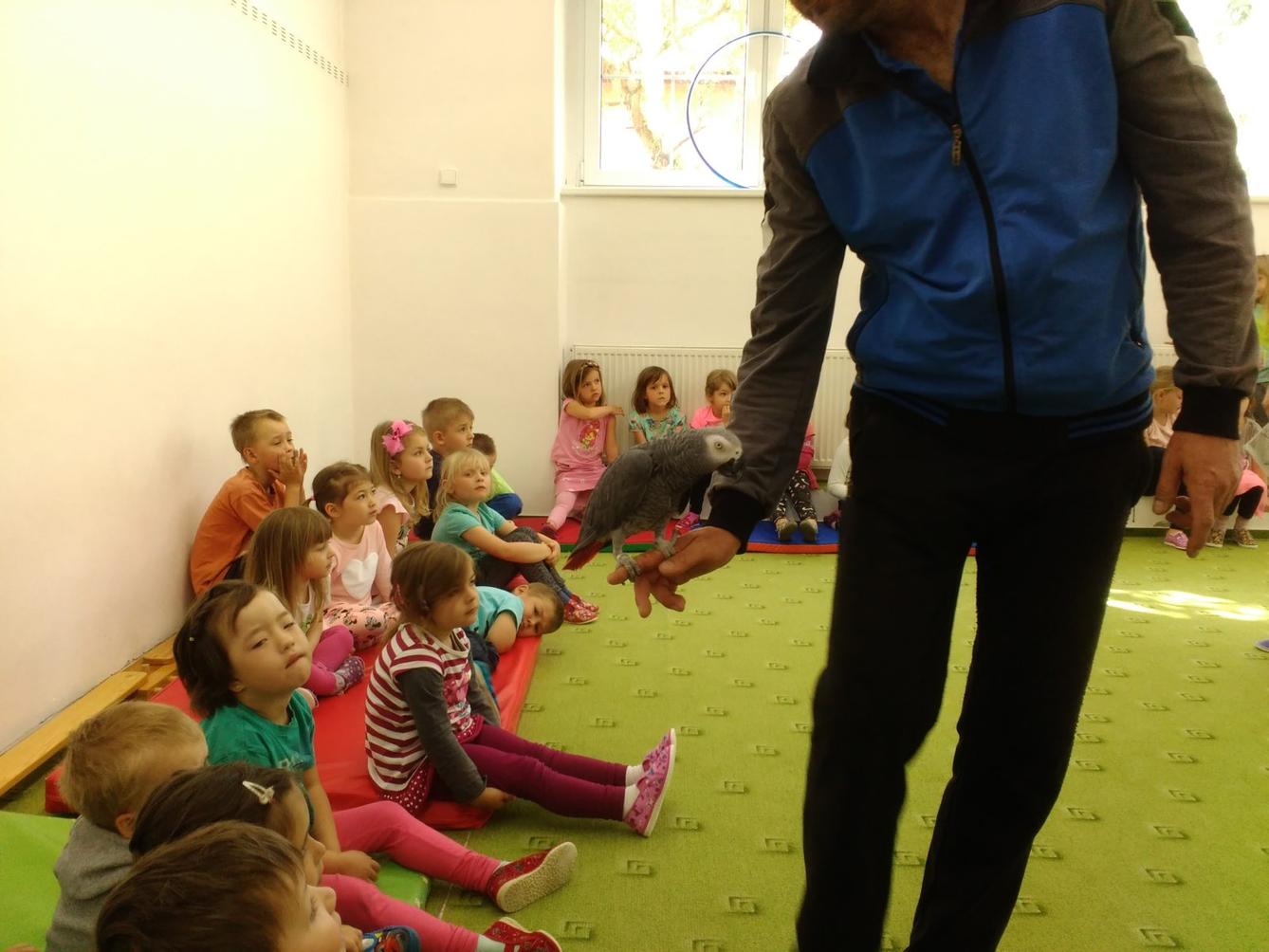 Papoušci ve školce - 20