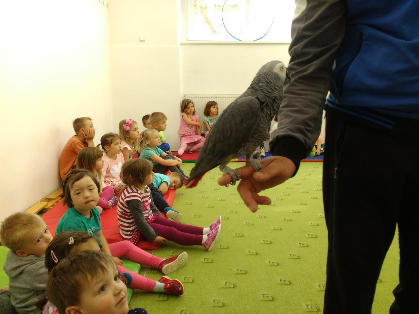 Papoušci ve školce - 21