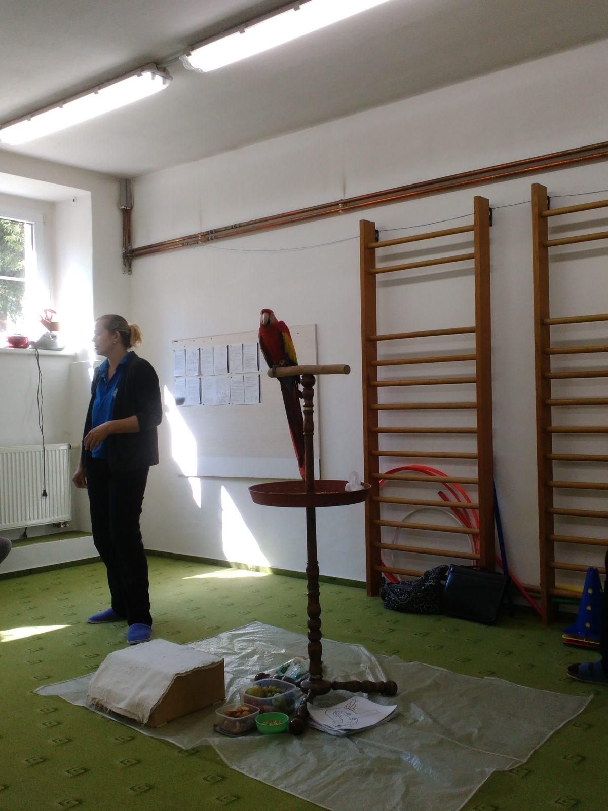 Papoušci ve školce - 23