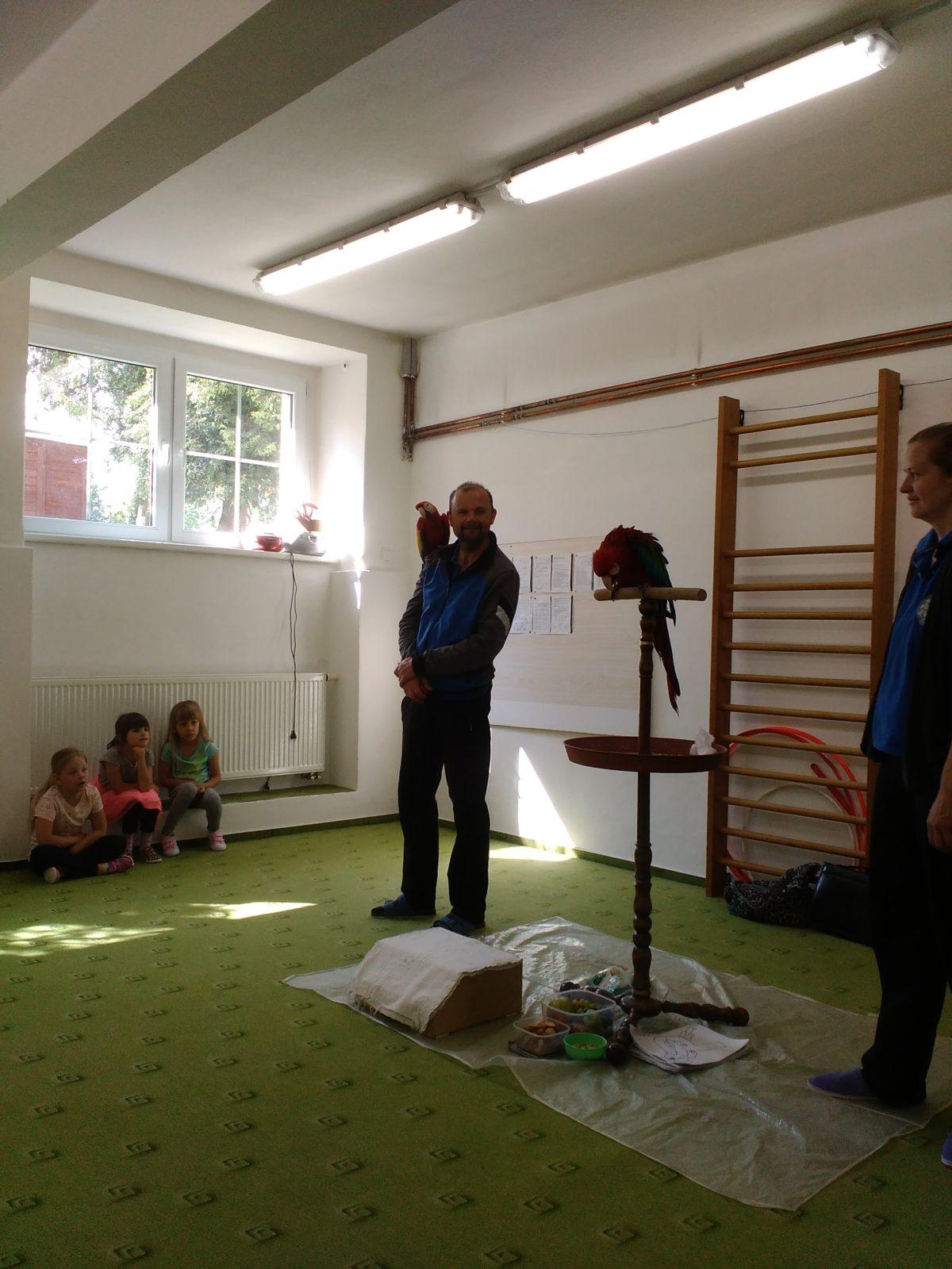 Papoušci ve školce - 24