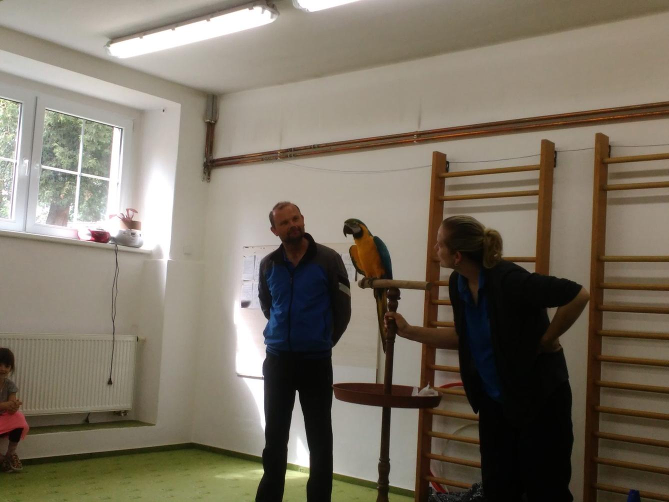 Papoušci ve školce - 38