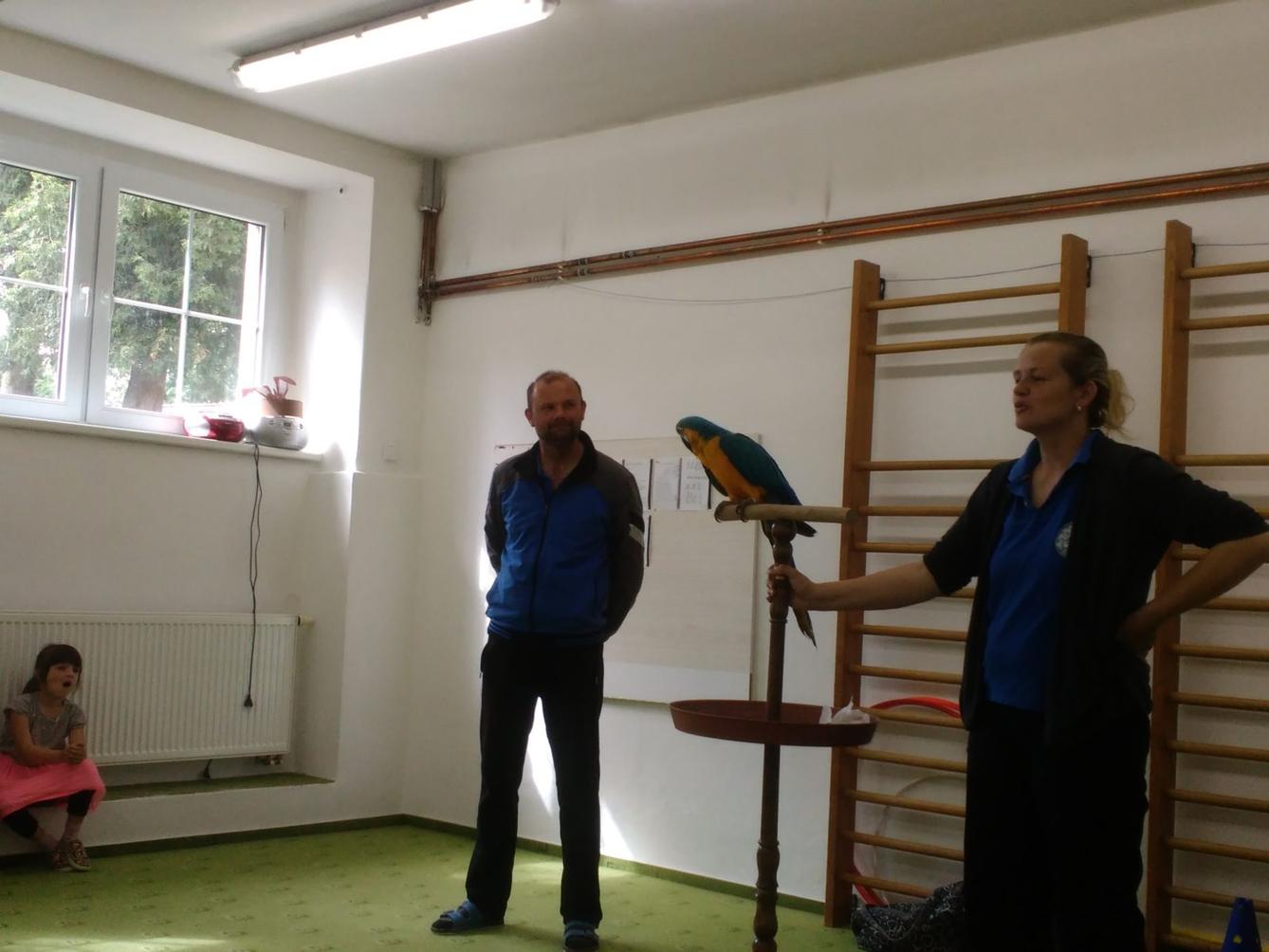 Papoušci ve školce - 41