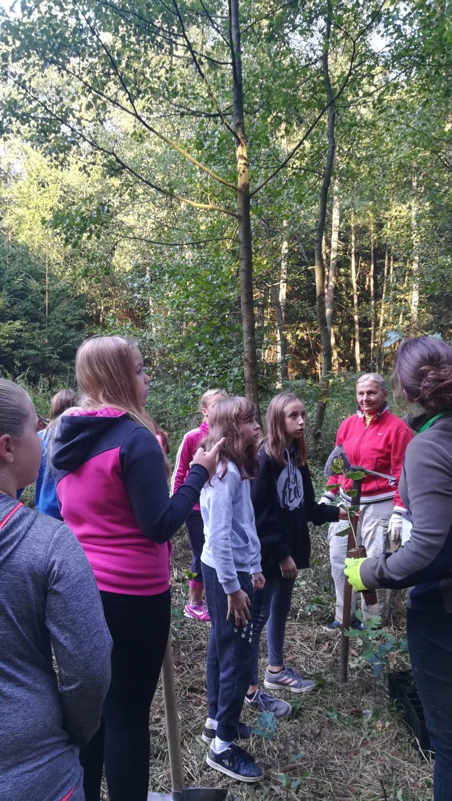 Do lesa s lesníkem - 14